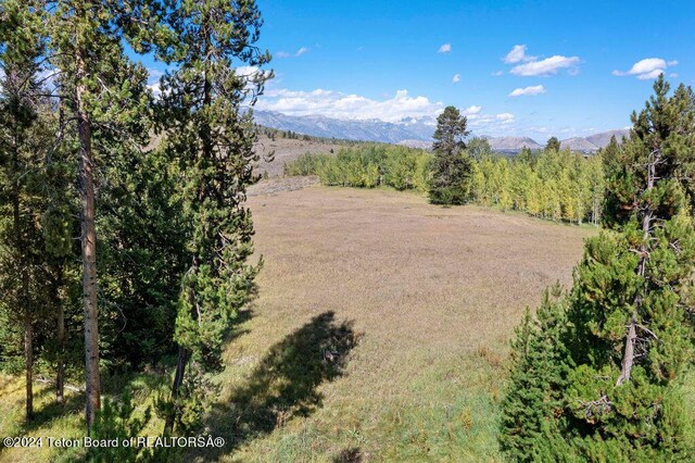 3625 W Highland Trl, Wilson, WY 83014