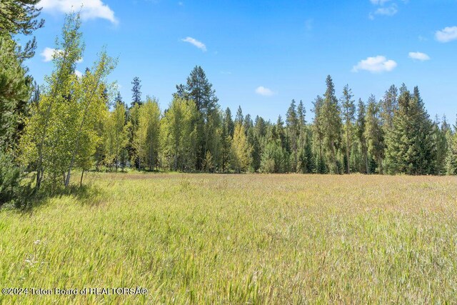 3625 W Highland Trl, Wilson, WY 83014