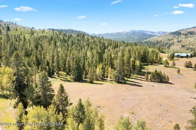 3625 W Highland Trl, Wilson, WY 83014