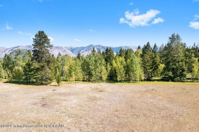 3625 W Highland Trl, Wilson, WY 83014