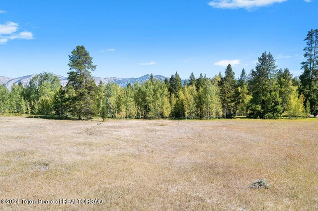 3625 W Highland Trl, Wilson, WY 83014
