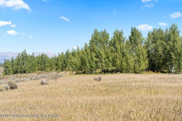 3625 W Highland Trl, Wilson, WY 83014