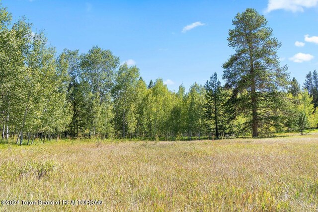 3625 W Highland Trl, Wilson, WY 83014