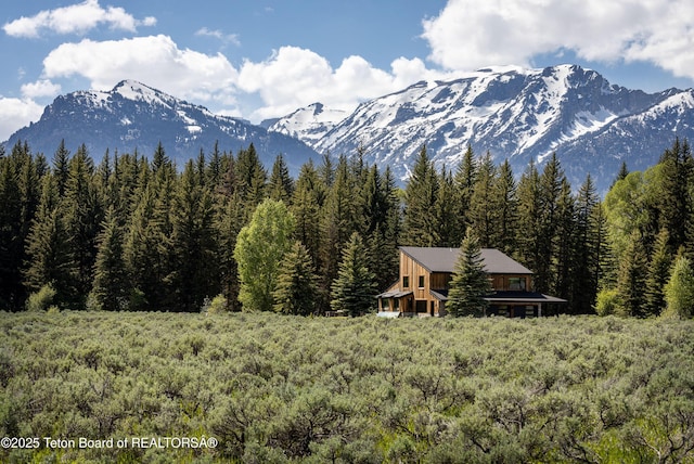450 E Phelps Canyon Rd, Jackson, WY 83001 - photo 4