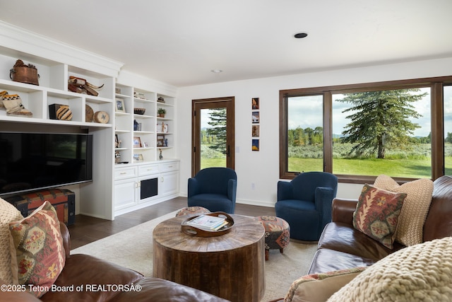 450 E Phelps Canyon Rd, Jackson, WY 83001 - photo 22
