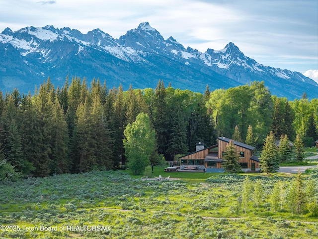 450 E Phelps Canyon Rd, Jackson, WY 83001 - photo 3