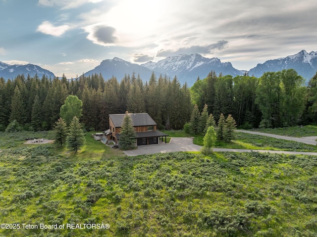 450 E Phelps Canyon Rd, Jackson, WY 83001 - photo 1