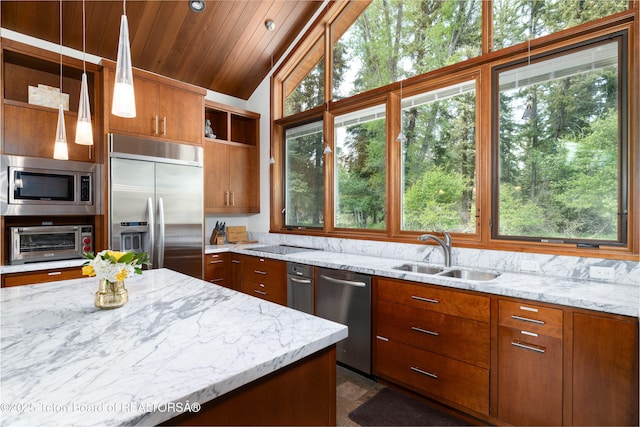 450 E Phelps Canyon Rd, Jackson, WY 83001 - photo 43