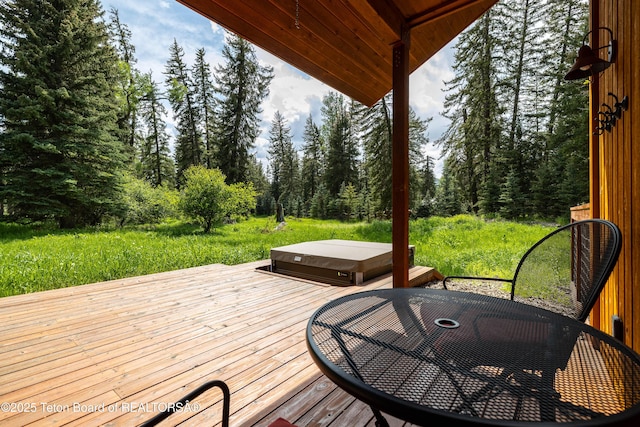 450 E Phelps Canyon Rd, Jackson, WY 83001 - photo 50