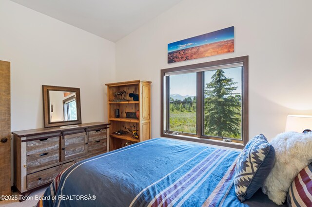 450 E Phelps Canyon Rd, Jackson, WY 83001 - photo 35