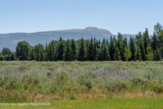 450 E Phelps Canyon Rd, Jackson, WY 83001 - photo 12