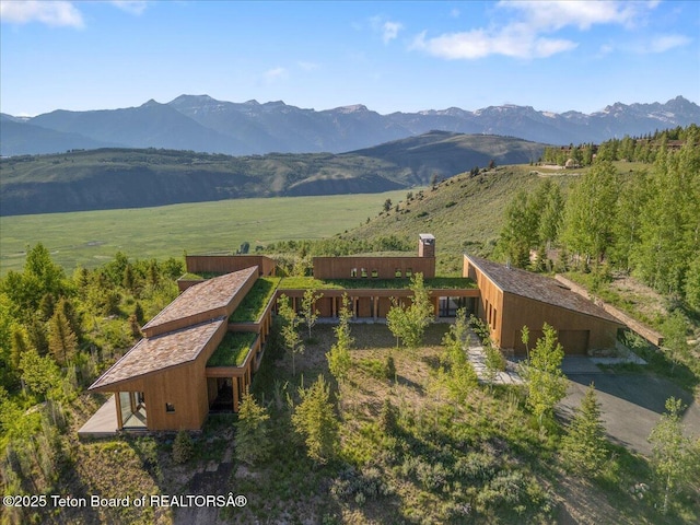 585 W Sena Rd, Jackson, WY 83001 - photo 2