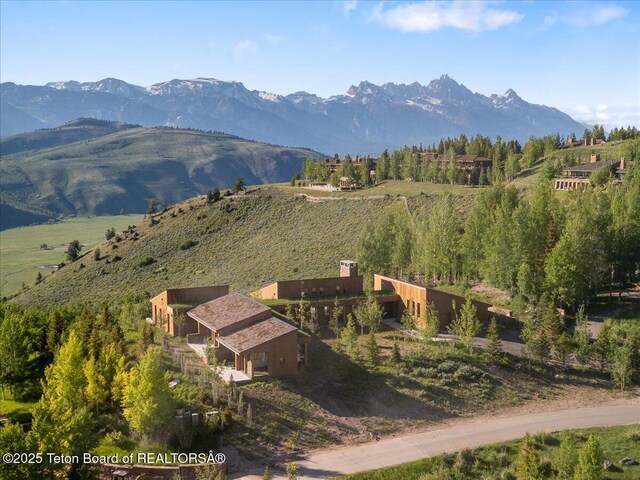 585 W Sena Rd, Jackson, WY 83001 - photo 15