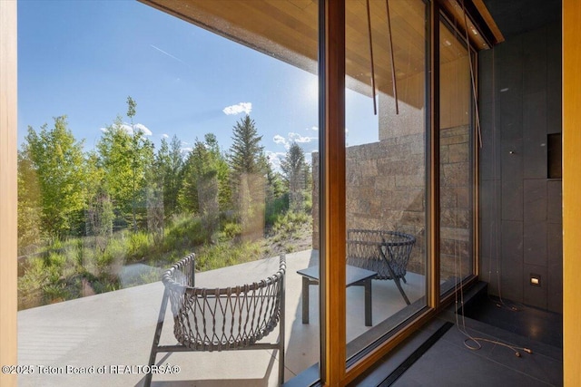 585 W Sena Rd, Jackson, WY 83001 - photo 53