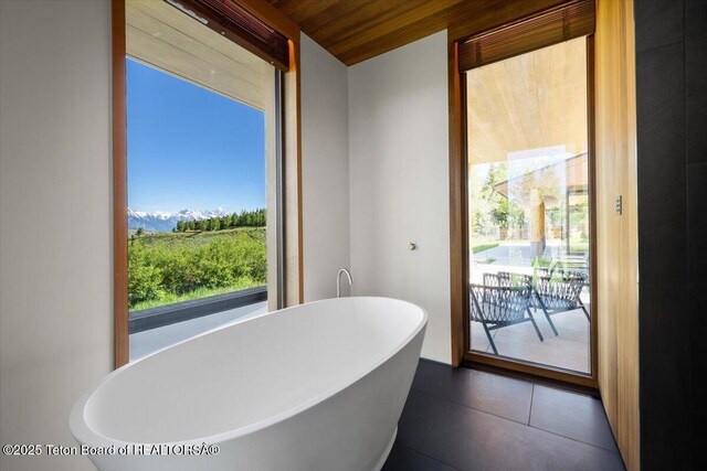 585 W Sena Rd, Jackson, WY 83001 - photo 9