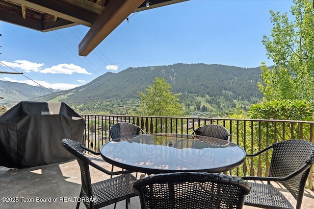 1023 Budge Dr, Jackson, WY 83001 - photo 14