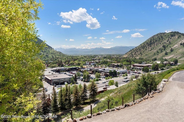 1023 Budge Dr, Jackson, WY 83001 - photo 20