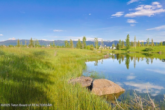 1085 Shasta Daisy Ct, Driggs, ID 83422