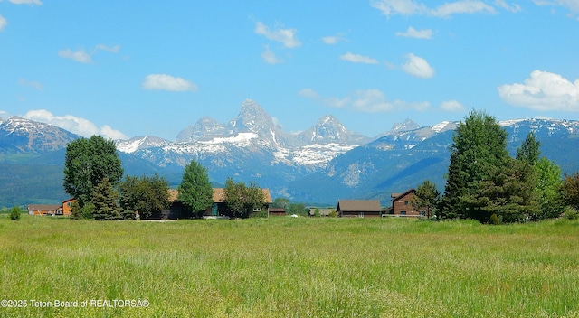 135 Butler Ln, Driggs, ID 83422