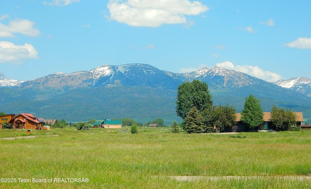 135 Butler Ln, Driggs, ID 83422