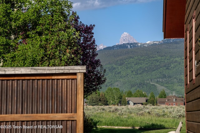 891 Paiute St, Driggs, ID 83422 - view of mountain background