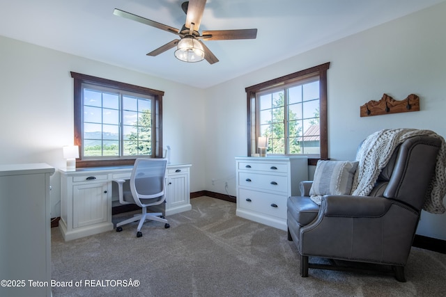 891 Paiute St, Driggs, ID 83422 - office featuring plenty of natural light, light carpet, and a ceiling fan