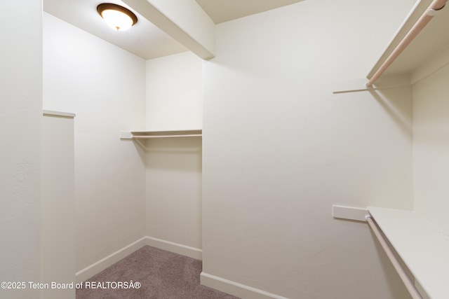 30C Blue Wing Ln, Alpine, WY 83128 - walk in closet with carpet flooring