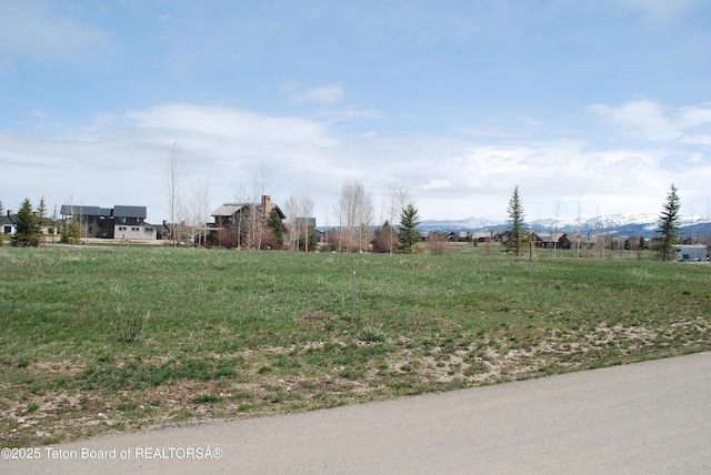 950 Bunchberry Ct, Driggs, ID 83422