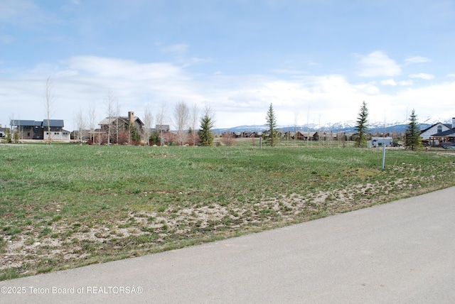 950 Bunchberry Ct, Driggs, ID 83422