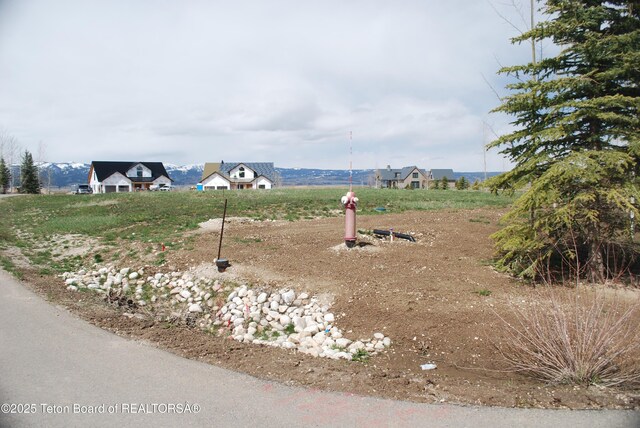 950 Bunchberry Ct, Driggs, ID 83422