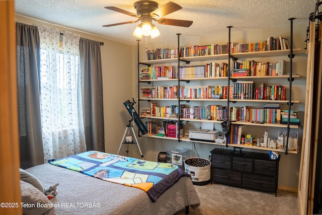8 Looney Ln, Pinedale, WY 82941 - photo 9