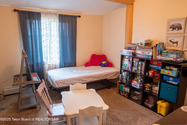 8 Looney Ln, Pinedale, WY 82941 - photo 12