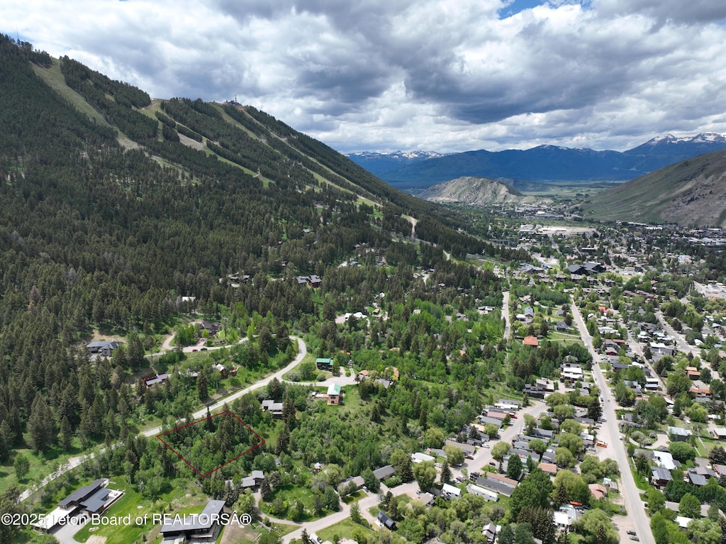 845 Upper Cache Creek Dr, Jackson, WY 83001
