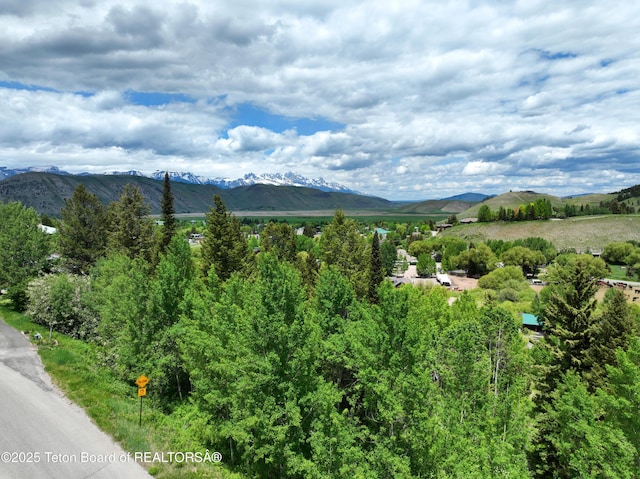 845 Upper Cache Creek Dr, Jackson, WY 83001