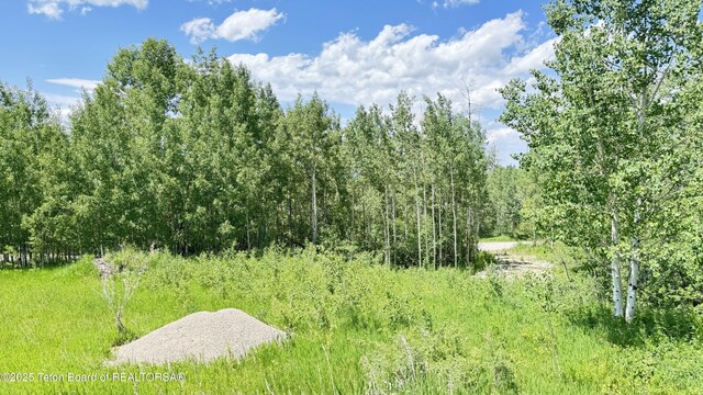 Dogwood Dr, Star Valley Ranch, WY 83127