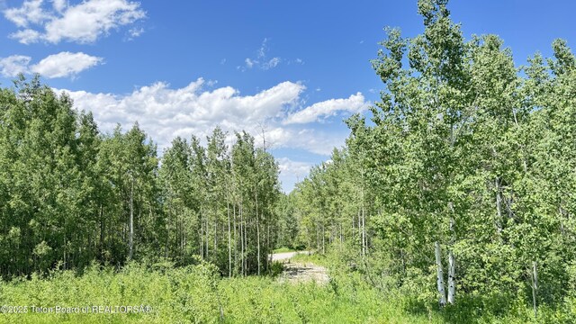 Dogwood Dr, Star Valley Ranch, WY 83127