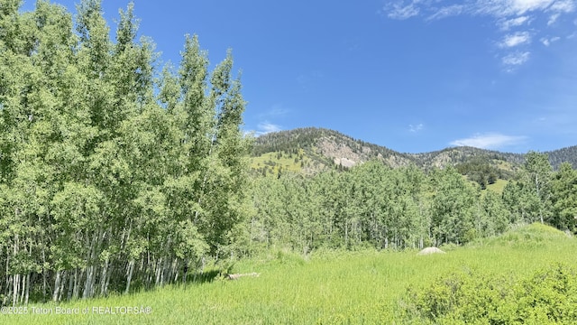 Dogwood Dr, Star Valley Ranch, WY 83127