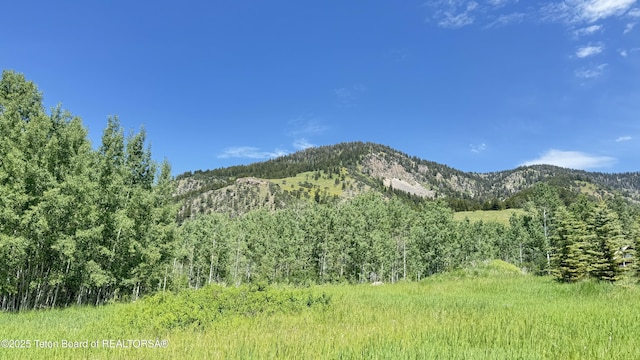 Dogwood Dr, Star Valley Ranch, WY 83127