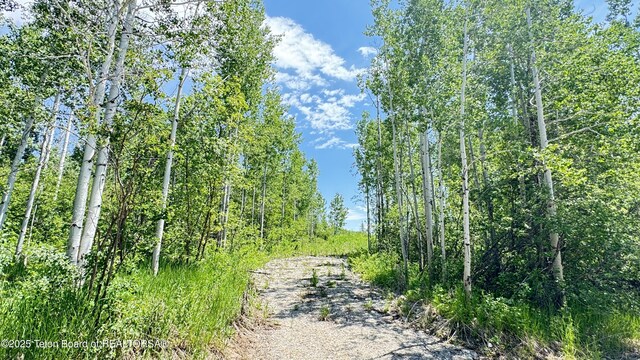 Dogwood Dr, Star Valley Ranch, WY 83127