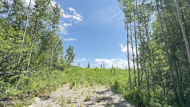 Dogwood Dr, Star Valley Ranch, WY 83127