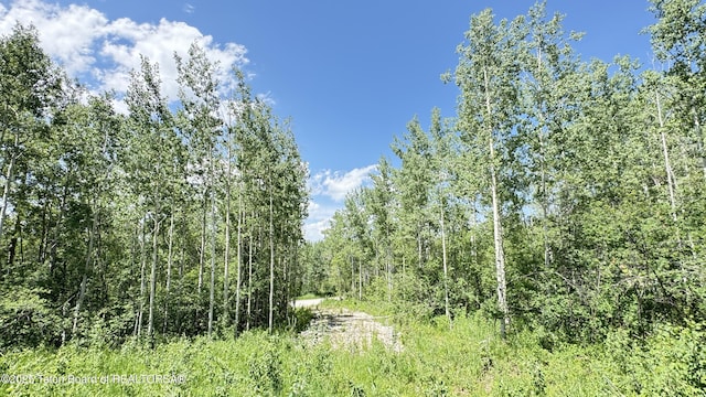 Dogwood Dr, Star Valley Ranch, WY 83127