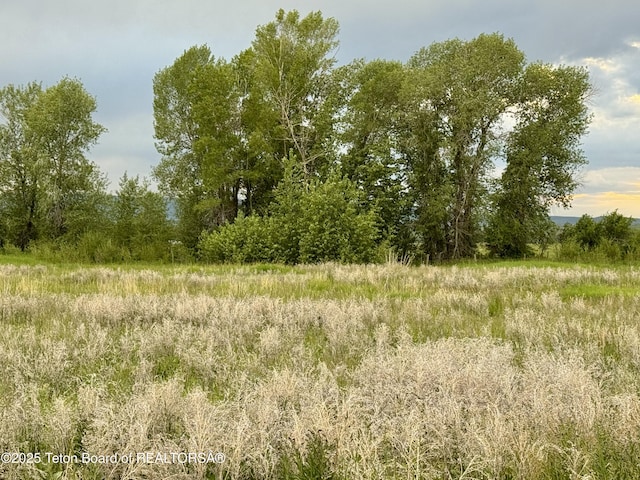 517 Granite Basin Loop, Tetonia, ID 83452 - photo 4