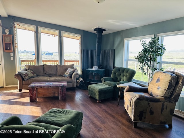 27 Chief Joseph, Daniel, WY 83115 - living area featuring a wood stove, wood finished floors, and healthy amount of natural light
