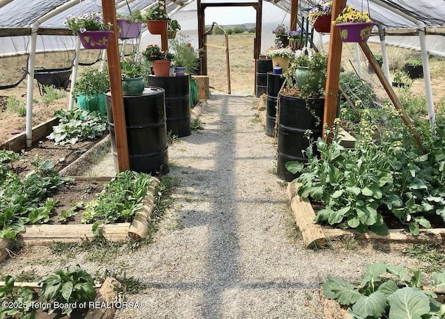 27 Chief Joseph, Daniel, WY 83115 - view of yard with a vegetable garden