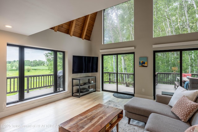 50 W Rigby Rd, Alta, WY 83414 - photo 3