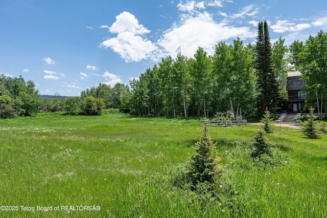 50 W Rigby Rd, Alta, WY 83414 - photo 25