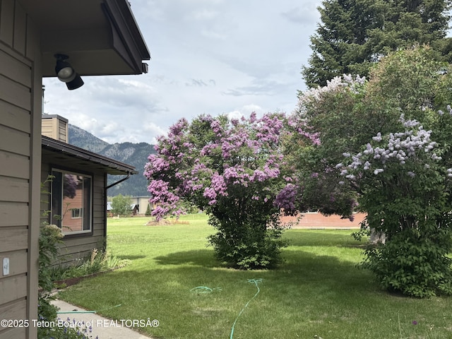 144 Blue Lake Cir, Alpine, WY 83128 - view of grassy yard featuring a mountain view