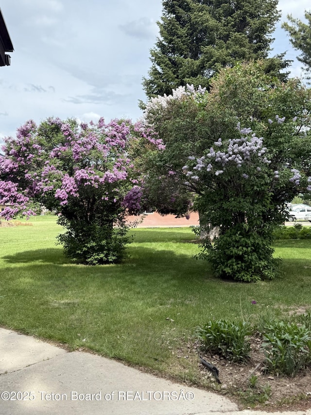 144 Blue Lake Cir, Alpine, WY 83128 - view of green lawn