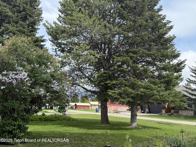 144 Blue Lake Cir, Alpine, WY 83128 - view of front of house featuring a front yard