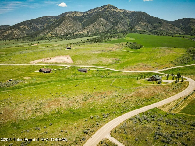 TBD Snowberry Lane, Irwin, ID 83428 - photo 4